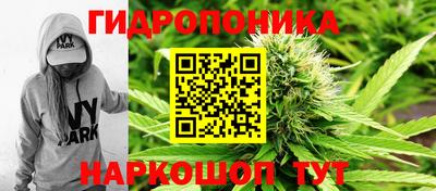 соль ск Ликино-Дулёво