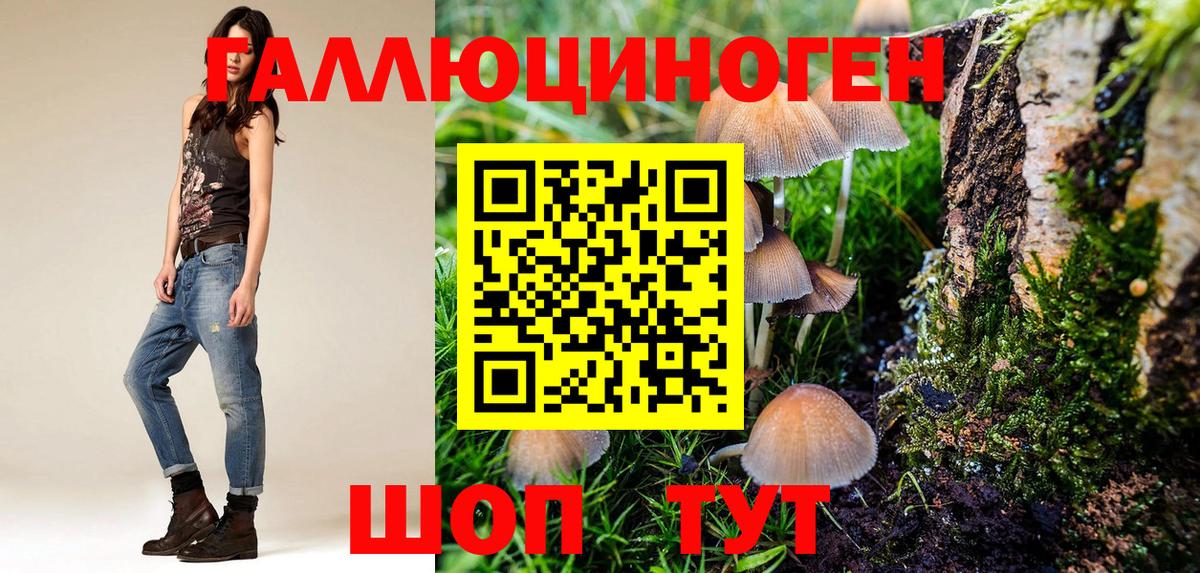 Старая Купавна  Галлюциногенные грибы Cubensis  Вход с VPN 
