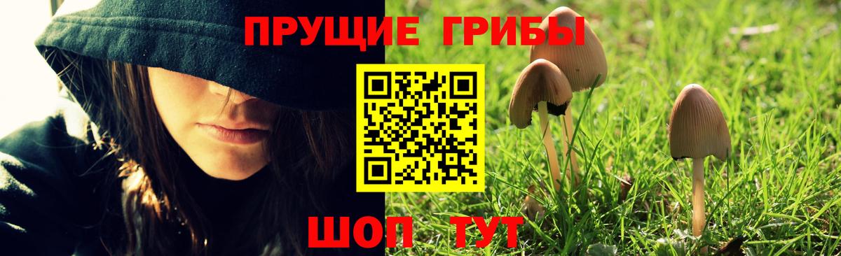 Галлюциногенные грибы Cubensis Старая Купавна